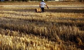 Picture 0 for Αγρότες : Ελεγχοι επί τόπου για πίνακα προσωπικού