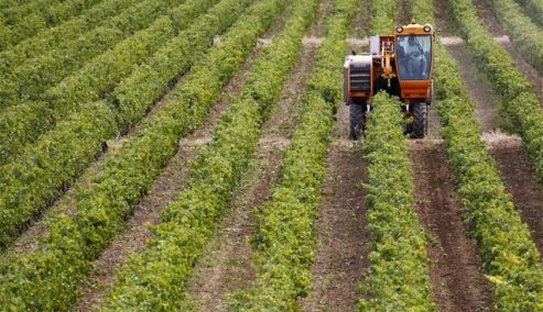 Picture 0 for Τι ισχύει με τον ΦΠΑ κατά την έκδοση ειδικού στοιχείου από τους αγρότες