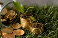  Σε καθεστώς επιτήρησης βάζει το υπουργείο Αγροτικής Ανάπτυξης τον ΟΠΕΚΕΠΕ