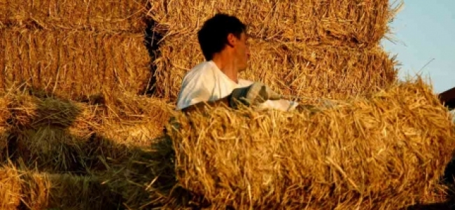 Picture 0 for Συμψηφισμός επιδοτήσεων με οφειλές προς τον ΟΓΑ